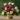 mixed-roses-basket-mfa649-removebg-preview