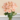 peach-roses-bouquet-549_1-removebg-preview-removebg-preview