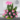 pink-roses-basket-745-removebg-preview