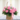pink-roses-basket-749-removebg-preview