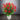 red-roses-vase-699_2-removebg-preview